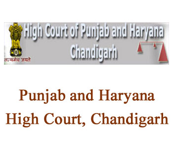 High Court Of Punjab And Haryana Jobs